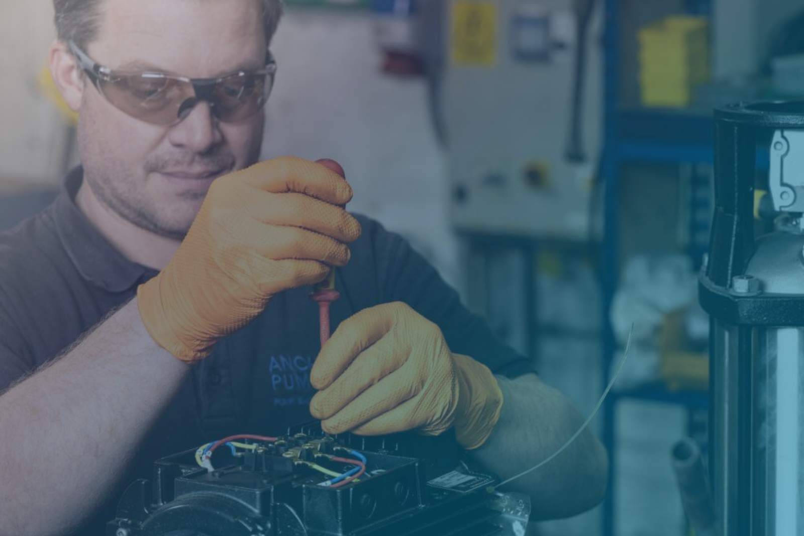 Anchor Pumps works with dream agility