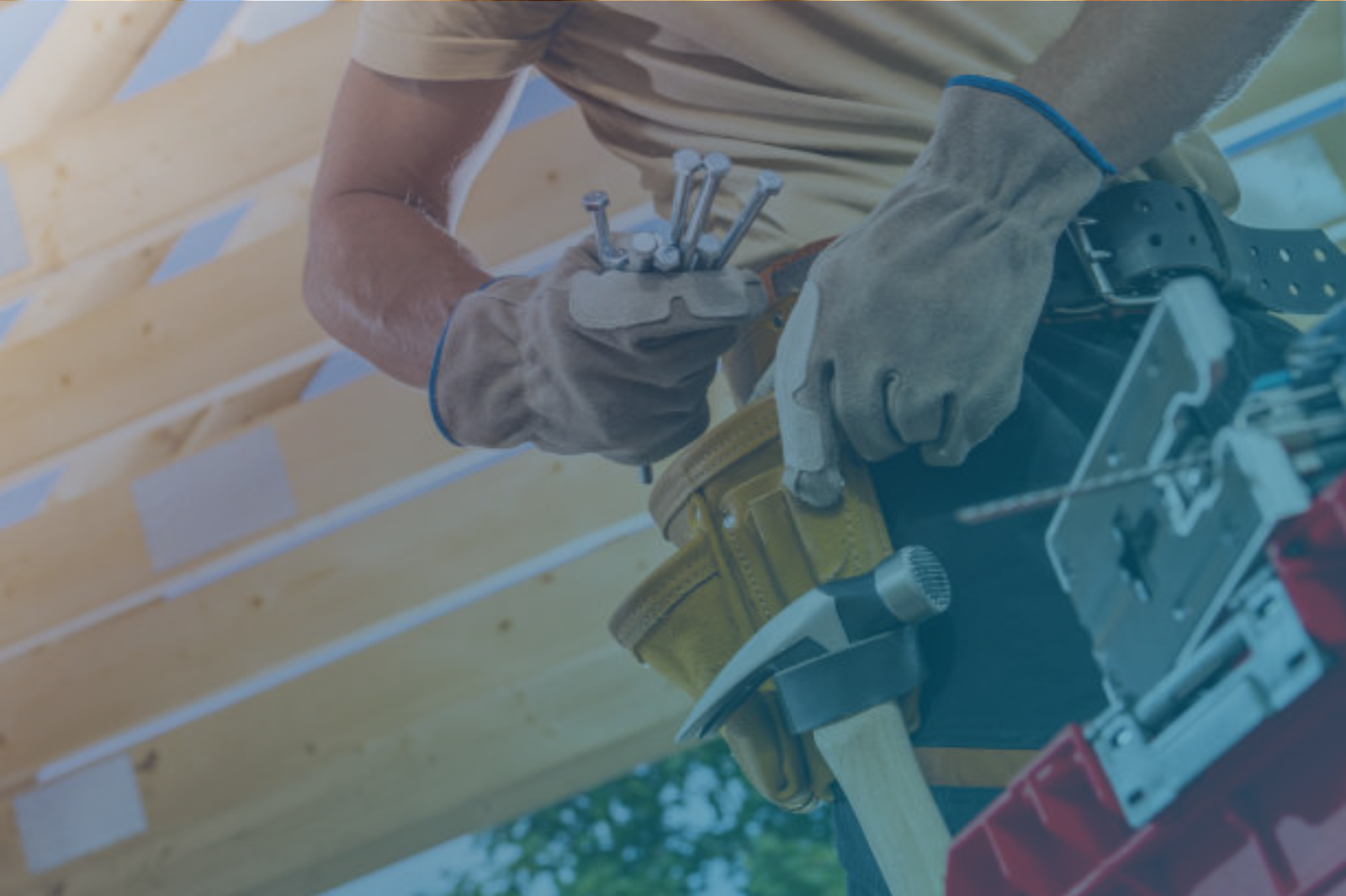 Trade counter direct works with dream agility Gradiant